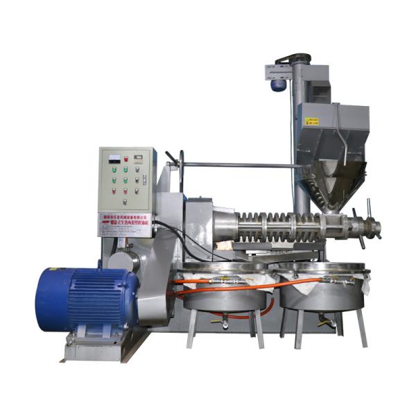 Cold Press Cooking Oil Manufacturing Machine Screw Mustard Seed Oil Press