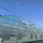 JX-A0022 Commercial Greenhouse with Multi-Span Plastic Tunnel Film Design