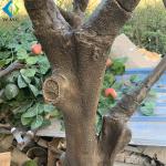 Yellow Fake Sakura Tree For Restaurant Decoration , Artificial Cherry Blossom