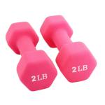 10LB Steel Rubber Fitness Dumbbell Hex Dumbbell Hexagon For Gym