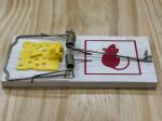 Wooden Household Rat Mouse Mice Trap Catcher Killer Disposable and Pest Type