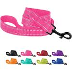 Heavy Duty Nylon Dog Leash