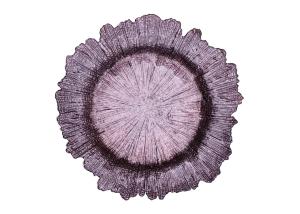 Wholesale Irregular Edge Flower Electroplated Round Glass Plates 13 Inch from china suppliers