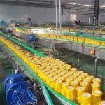 Fruit Canned Food Production Filling Packaging Line For Yellow Peach