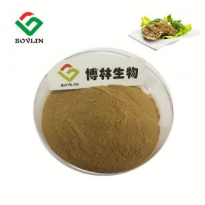 Wholesale Antibacterial Men Enhancement Anti Stress Oyster Peptide Brown Yellow from china suppliers