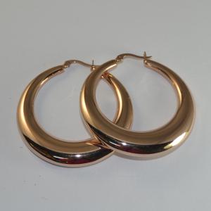 Wholesale Classic 316L Stainless Steel Fashion Jewelry Earrings Hoops Earrings LEH225 from china suppliers