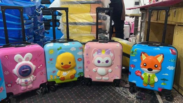 Factory Outlet 18 Inch 360 Degree Spinner Wheels Kids Luggage Travel Suitcases