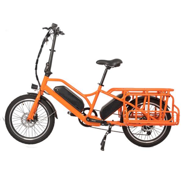 Family Delivery E-cargo Two Battery Max Loading Family E Bicycle Electric Bike