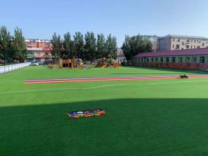 Wholesale Safe Non Infilling Sports Artificial Grass For Indoor Soccer Court from china suppliers