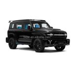 Tank300 CyperLight Great Wall Car Gasoline vehicles SUV Luxury Used Car Sports