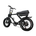 Power Supply Lithium Battery Electric Bike for Adult Top Selling Retro Fat Tire