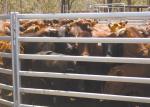 40x80mm Oval Tube Livestock Fence Panels Galvanized Corral Farm Equipment