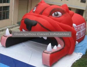 Wholesale Portable Inflatable Football Tunnel With Helmet,Inflatable Football Helmet Tunnel For Sale from china suppliers