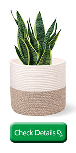 11 inch basket