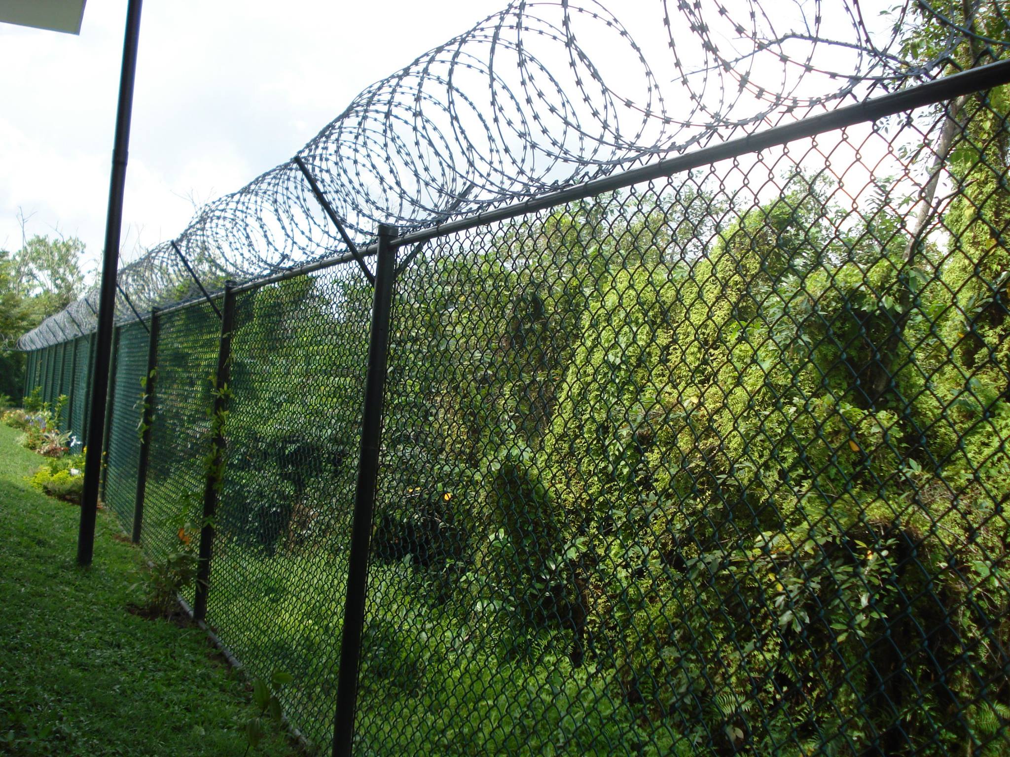 Newest Design Top Quality Price GI Razor Wire Barrier Concertina Barbed Wire Rolls Used For Airport Security