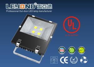 Wholesale High Power COB 120LM/W Bridgelux Chip 5 Years Warranty Meanwell Driver IP65 LED Flood Light from china suppliers