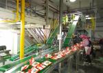 Fully Automatic Washing Powder Manufacturing Machine With Packaging Function