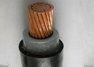 Wholesale Cu Fr PVC Sheath Lv XLPE Insulated Power Cable Underground 0.6/1kv from china suppliers