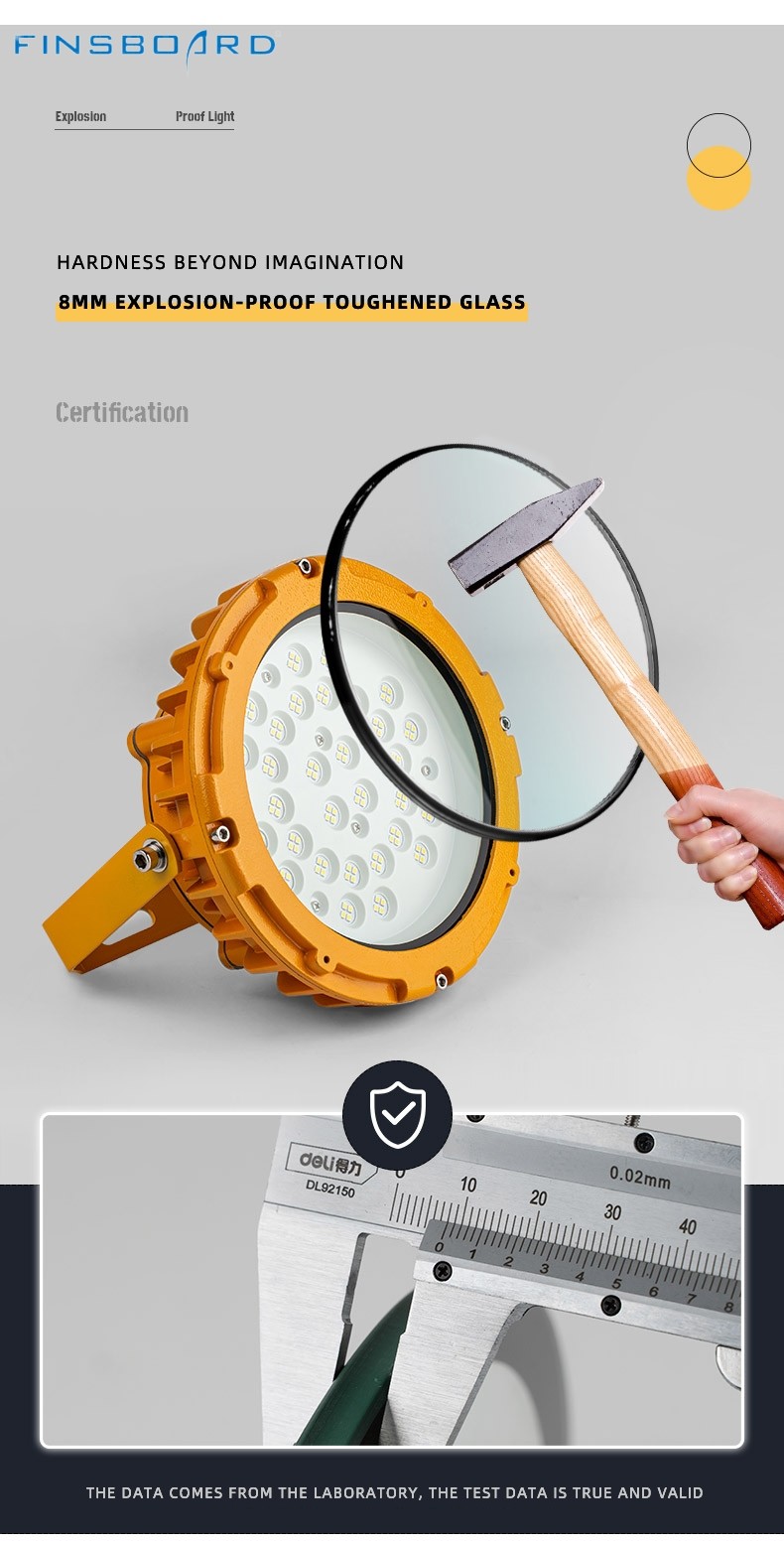 WF2 IP66 Waterproof Convex Glass Shade Explosion-Proof LED Light