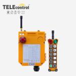 Telecontrol F24-12S Overhead Crane Remote Control Industrial Crane Remote