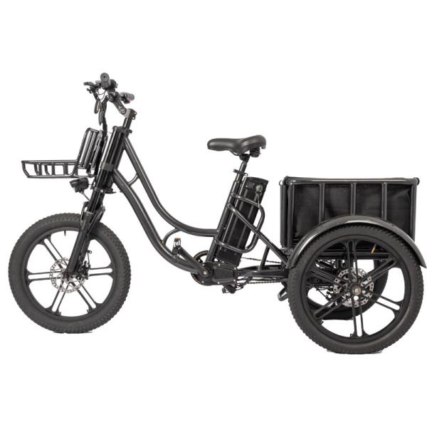 Food Electric Fat Tire Delivery Tricycle E-bike with 48V 500W Motor Power and