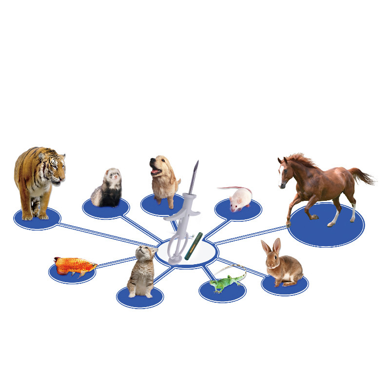 RBC-Z05 Animals Identifications Tags Bioglass Pet Syringes EM4305 Chip