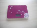 Health Meter portable balance Scale