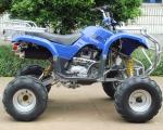 Electric 8" Rim 250cc ATV Quad Bike 4 Wheel Motorbike With Manual Clutch