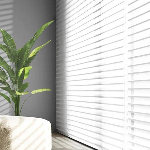 Customized Bathroom Anti UV and Heat Insulation Electric Motorized Shangrila