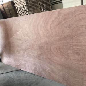 Wholesale Furniture 610x2440mm Moisture 8% Sapele Faced Plywood from china suppliers