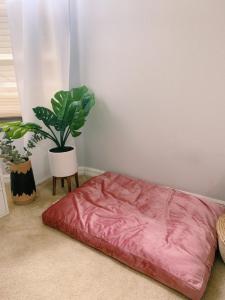 Wholesale 100% Cotton Machine Washable 36&quot;X28&quot;X2.5&quot; Yoga Bolster Cushion from china suppliers