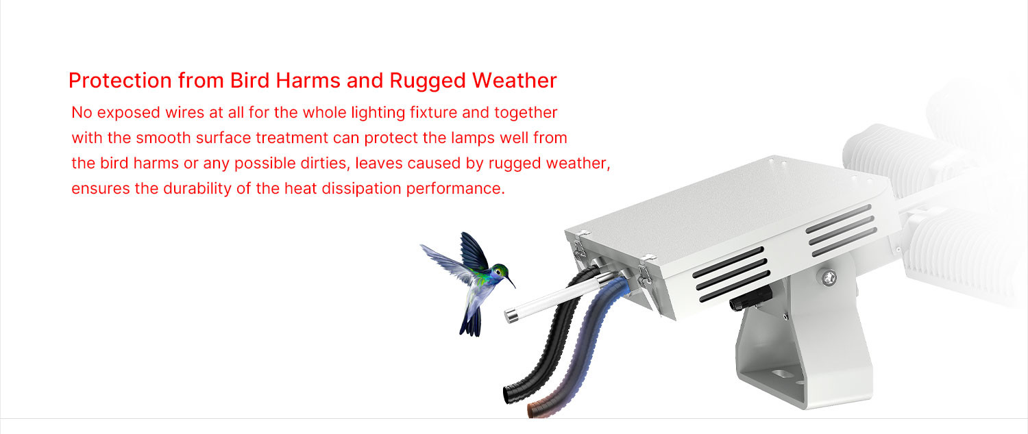 6000K 170lm/W Led Sports Field Lights For Stadiums