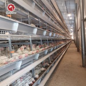 Wholesale 65*62.5*50 Cm Size Battery Cage Chicken Farming For Rearing House from china suppliers