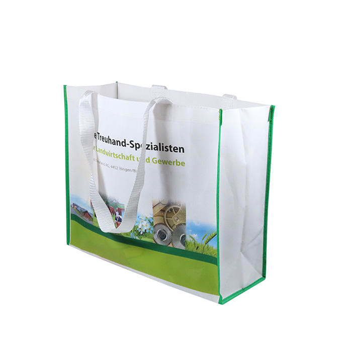 Low Cost Supermarket Reusable PP Woven Shopping Bag