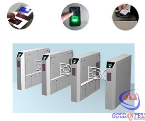Wholesale Stainless Steel Customizable Special Logo Bidirectional Swing Barrier Gate / Automatic Turnstile from china suppliers
