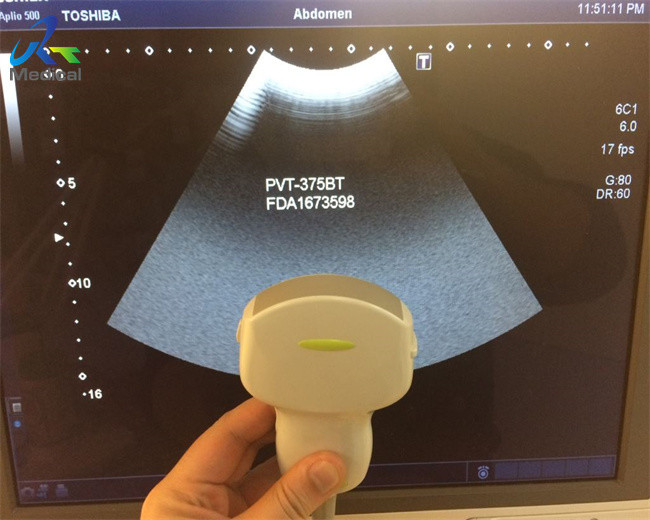 Toshiba PVT-375BT Convex Array Transducer 6Mhz For Abdominal Medical Instrument