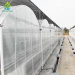 Plastic Film Greenhouse For Vegetables