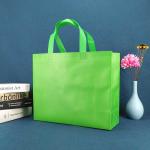Eco Friendly Promotional Non Woven Shopping Bags 50gsm Green Non Woven Shoe Bag