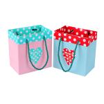 Custom Printed Paper Shopping Bags , Personalized Paper Gift Bags With Ribbon