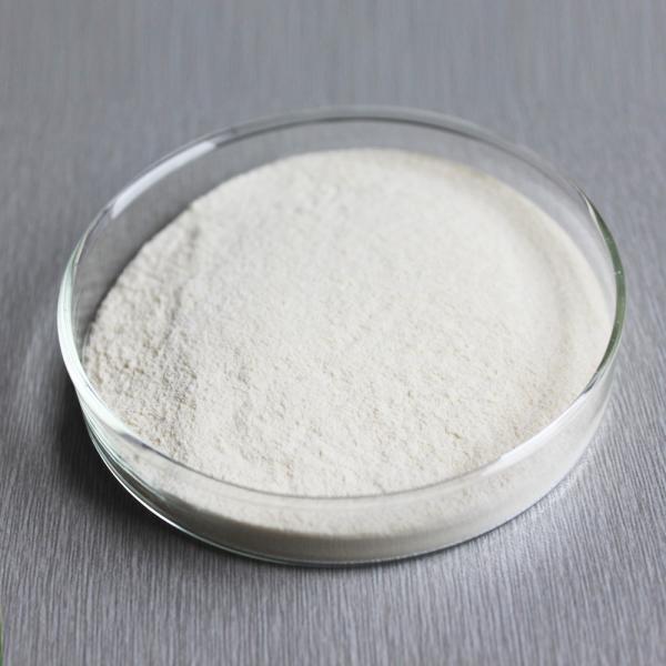 600GDU-2400GDU bromelain papain enzyme Powder like, fully soluble in water