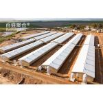 Customized Heavy Duty Steel Frame Pig House for Prefabricated Poultry Farm