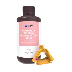Wholesale Lifelike Dental Prosthetics Gum Resin Implant Mockups Dental Model Resin from china suppliers