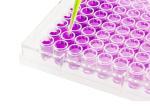Clear Bottom 96 Well Cell Culture Plate For Cell Culture Media Volume