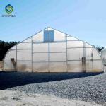 Galvanized Steel Single Span PE Film Greenhouses For Agriculture