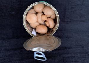 Wholesale 150g Crop Canned Whole Mushrooms With Brine Preservation Process from china suppliers