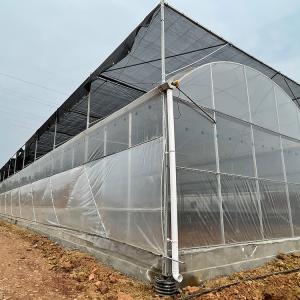 Wholesale Multi Span Agricultural Plastic Film Greenhouse Customized for Tomato Planting from china suppliers