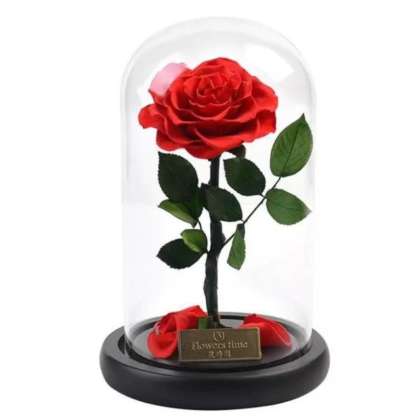 Never Withered Flowers preserved roses in glass dome Fresh flower rose Preserved