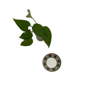 Wholesale Housewares Outdoor Unbreakable Dishes Melamine Non Toxic 531 Series from china suppliers