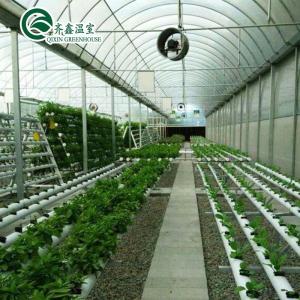 Wholesale PO Single Layer Greenhouse for Agriculture Boost Agricultural Production from china suppliers