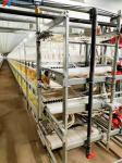 3 Tiers-10 Tiers Poultry Farm Cage Automatic Feeding Chicken House Cage